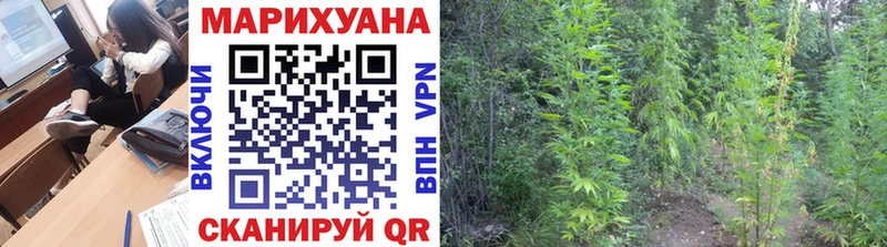 Галлюциногенные грибы Чудово