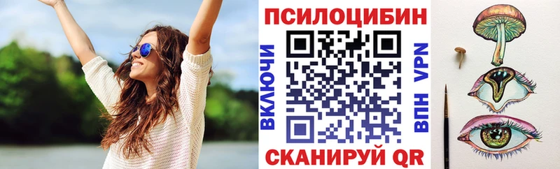Купить закладки  Чудово  Псилоцибиновые грибы ЛСД 