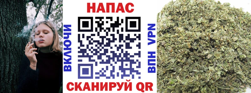 Канабис марихуана  Купить закладки  Чудово 